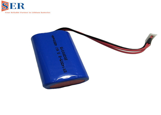 2ER14505 1S2P Li SOCL2 Baterai ER14505-2 Paralel 3.6V 4800mah Untuk Sirkuit Ram Cmos